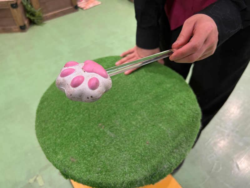 飼育員さんが肉球型の指示棒(ターゲットスティック)を持っている写真