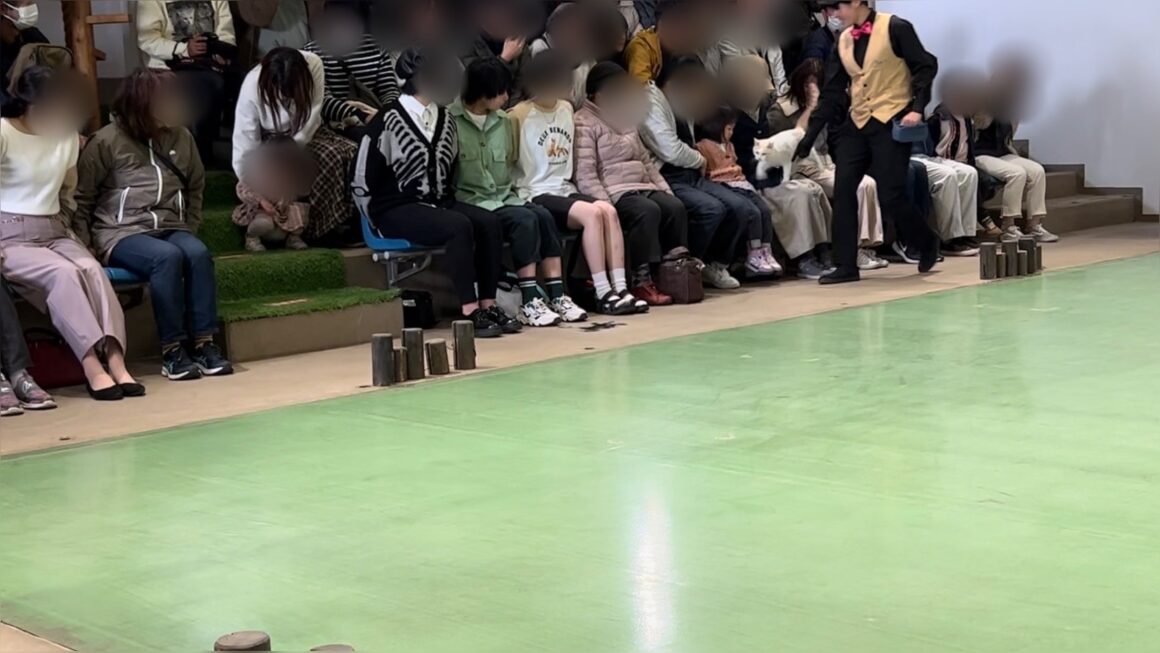 那須どうぶつ王国のザ・キャッツー風景