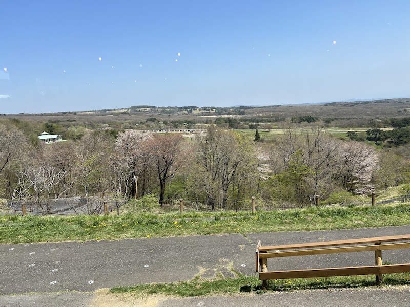 テラス席から見る那須の風景
