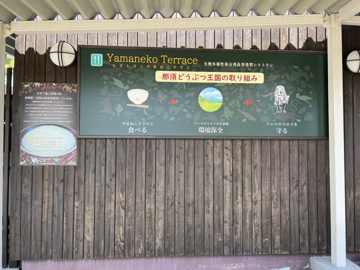 那須どうぶつ王国でヤマネコテラスで食事をすることがツシマヤマネコを守ることになると説明する図