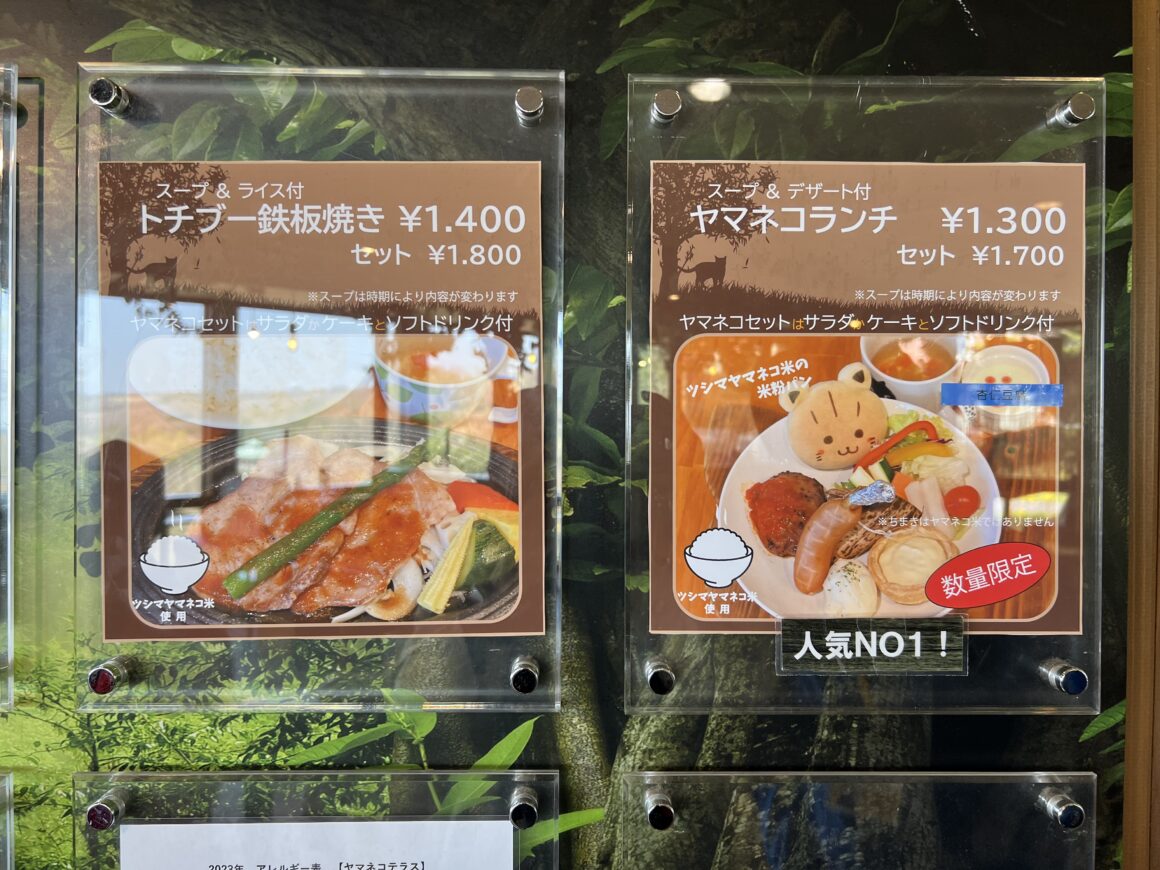 人気NO.1と書かれたヤマネコランチ1,300円と、セット1,700円。
土地ぶー鉄板焼き1,400円とセット1,800のセット。2種類の人気メニューの写真