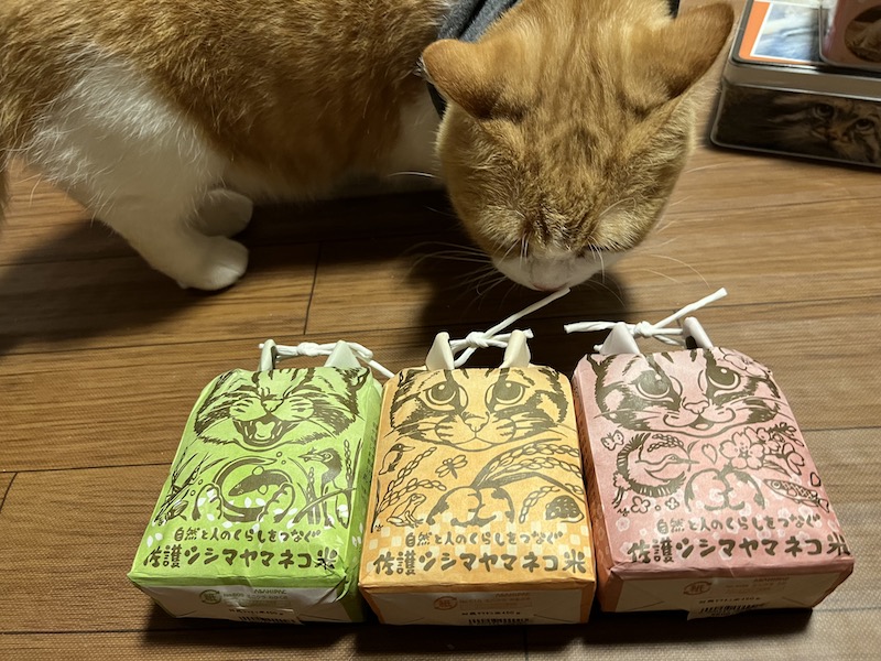 佐護ツシマヤマネコ米3種類とそれに興味を持つネコ