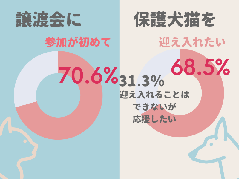 パナソニック保護犬猫譲渡会