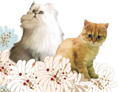 ジプシー＆ヌネット