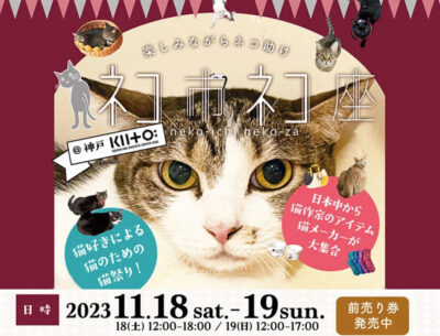 ネコ市ネコ座
