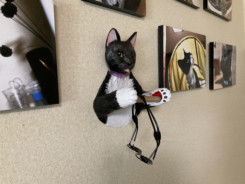 草津温泉中村屋旅館の看板猫ヤマト