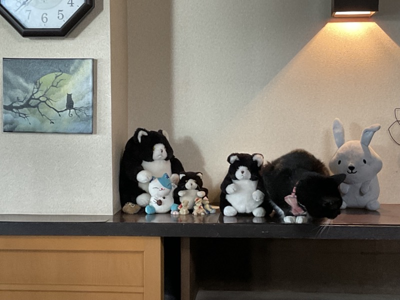 草津温泉中村屋旅館の館内でさり気なく紛れている誰かさん