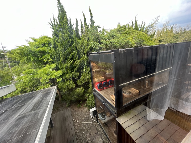 猫庭を「しおん」から見た様子