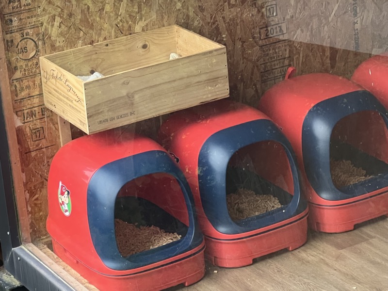 広島カープ仕様の猫トイレ
