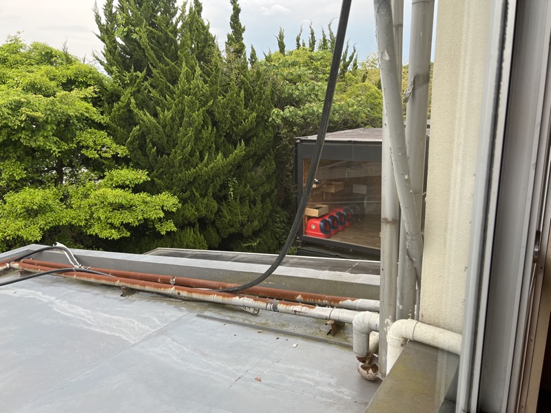 すおうの間から見える猫庭