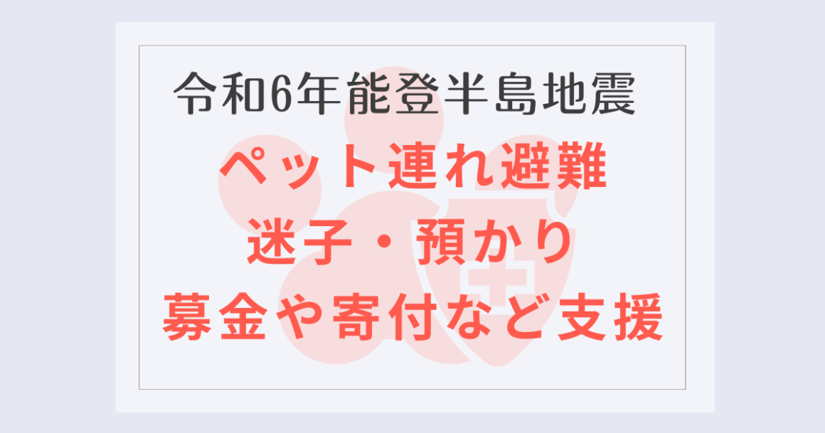 能登半島地震支援