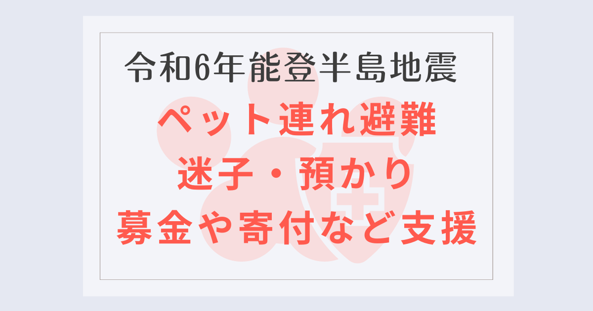 能登半島地震支援